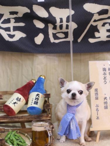 20240623マロンくん